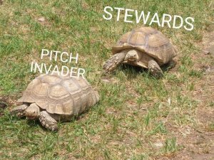 pitch invader.jpg pitch invader.jpg