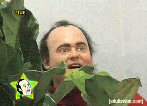 9lqAICb.gif 9lqAICb.gif