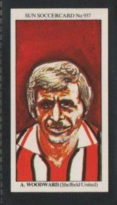 Woody sun cards.JPG