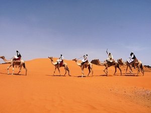 1.1254576861.camel-caravan.jpg