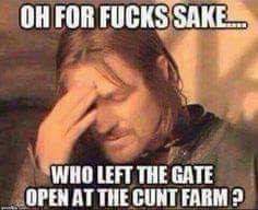 FB_IMG_1552166377240.jpg