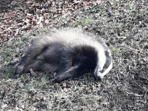 20190224_111508.jpg