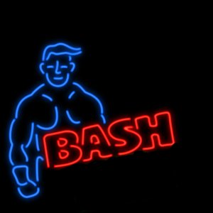 BASH 2.jpg
