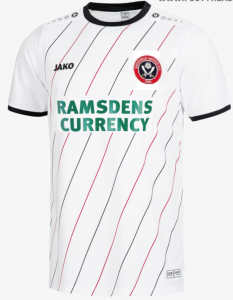 BAYER AWAY.png