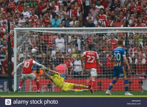 hendo right 3.jpg