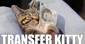 transfer-kitty-2.jpg
