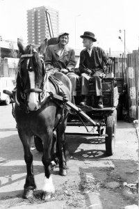 steptoe.jpeg steptoe.jpeg