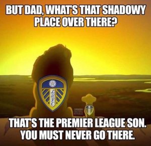 E9A309A0-7AFC-4324-85DD-E3EAD02EEF32.jpeg