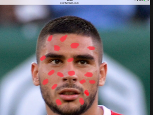 E5328829-1BE2-4854-859F-1FBCB9066EAC.png