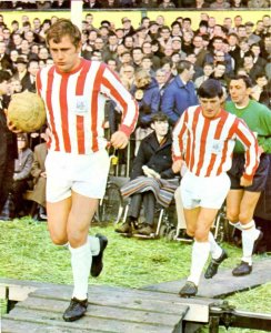 Watford Cup.jpg