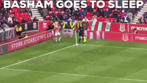 BASHAM.gif