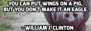 wings-on-a-pig.jpg wings-on-a-pig.jpg