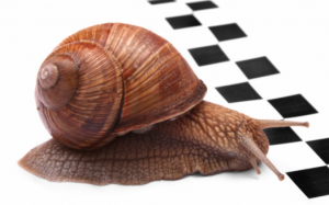 56450