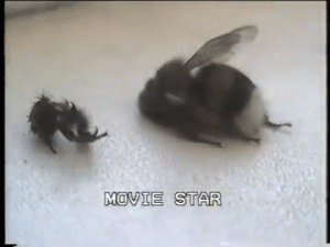 67BE63A8-3F49-4BC9-BDD9-5897A6047C74.gif