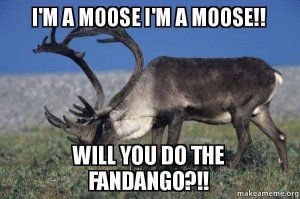 FB_IMG_1563454094986.jpg