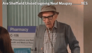 NEAL MAUPAY.gif