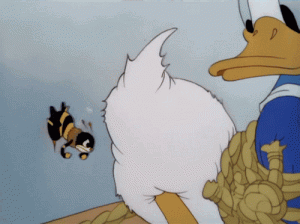 5E70BA50-619E-4E8A-B27C-5006A95C658D.gif