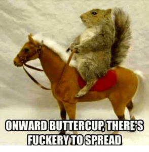 onward-buttercup-theres-fuckery-to-spread-10290372.png