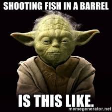 download.jpeg.jpg