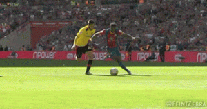 zaha.gif