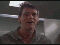 giphy (2).gif giphy (2).gif