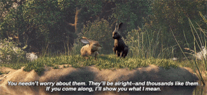 WILDER RABBITY.gif