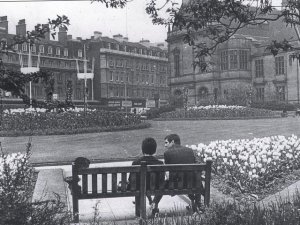 image-3.jpg