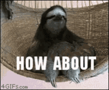 19865477-27C5-4393-8A09-D687D83B50D0.gif 19865477-27C5-4393-8A09-D687D83B50D0.gif