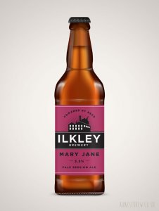 Ilkley-Mary-Jane-Pale-Session-Ale-3.5_-Bottle-330ml.jpg