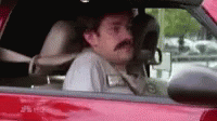 tenor (14).gif