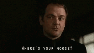 tenor (21).gif