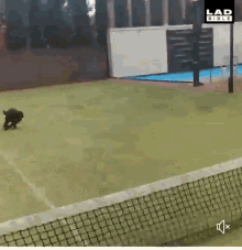 tenor (7).gif tenor (7).gif