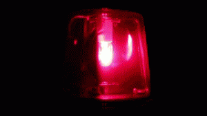 red-siren-animated.gif