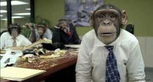Monkey-business.jpg