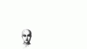 giphy (12).gif