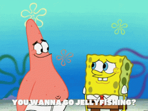 giphy (4).gif