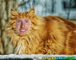 InsertFace-com-3164-cat-lXecH9.jpg