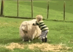 sharp and rooney.gif
