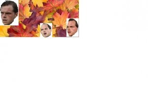 leaves.jpg
