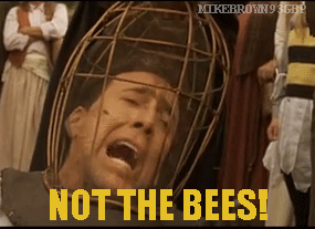 E2EDB3D1-8D92-4D61-B4AA-0129ADD2AEC8.gif