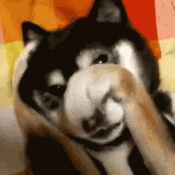 tenor (15).gif