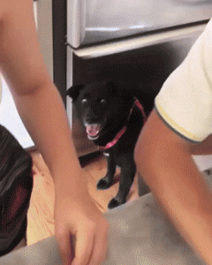1580161251282.gif