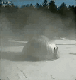 1580542401188.gif