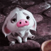 4F92E096-0BF1-4726-91CC-B1619BCAAD7C.gif