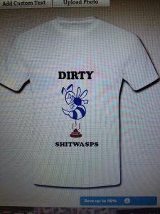 shitwasps 2.jpg