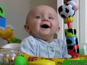 giphy (25).gif
