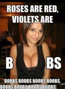 BOOBSSS.jpg