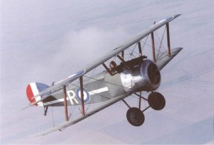 B0EA907B-F5FA-4A1D-975C-D60FED5F811E.jpeg