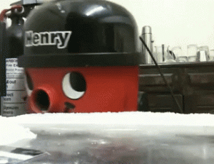 BlackSpeedyFirefly-size_restricted.gif