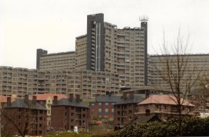 Bard st 0489.jpg